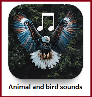 Animal and bird sounds